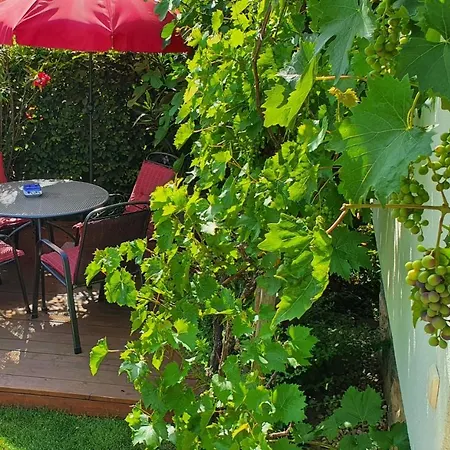 Strata Montana Apartment *