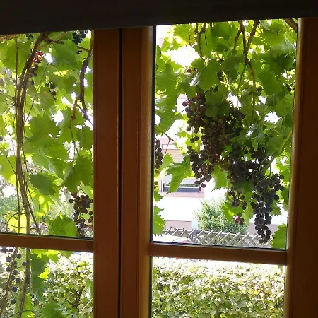 Apartment Strata Montana Bensheim