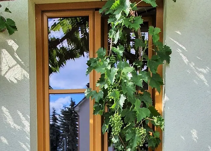 Strata Montana بينسهايم