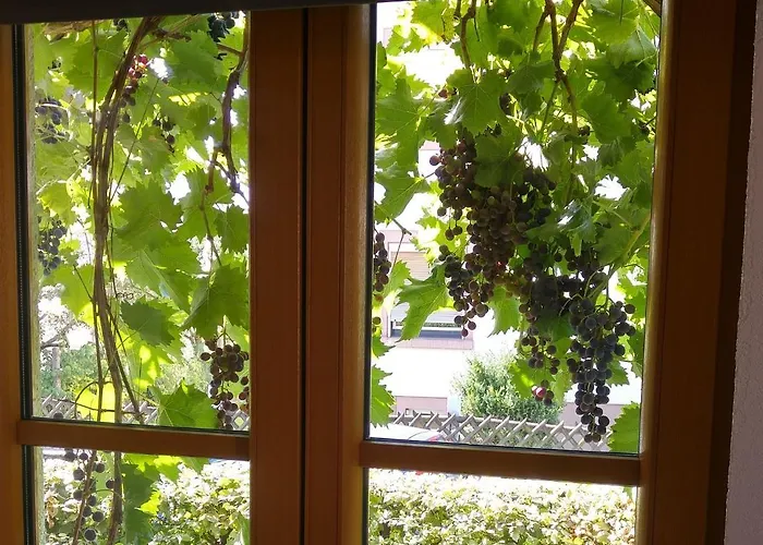 شقة Strata Montana بينسهايم